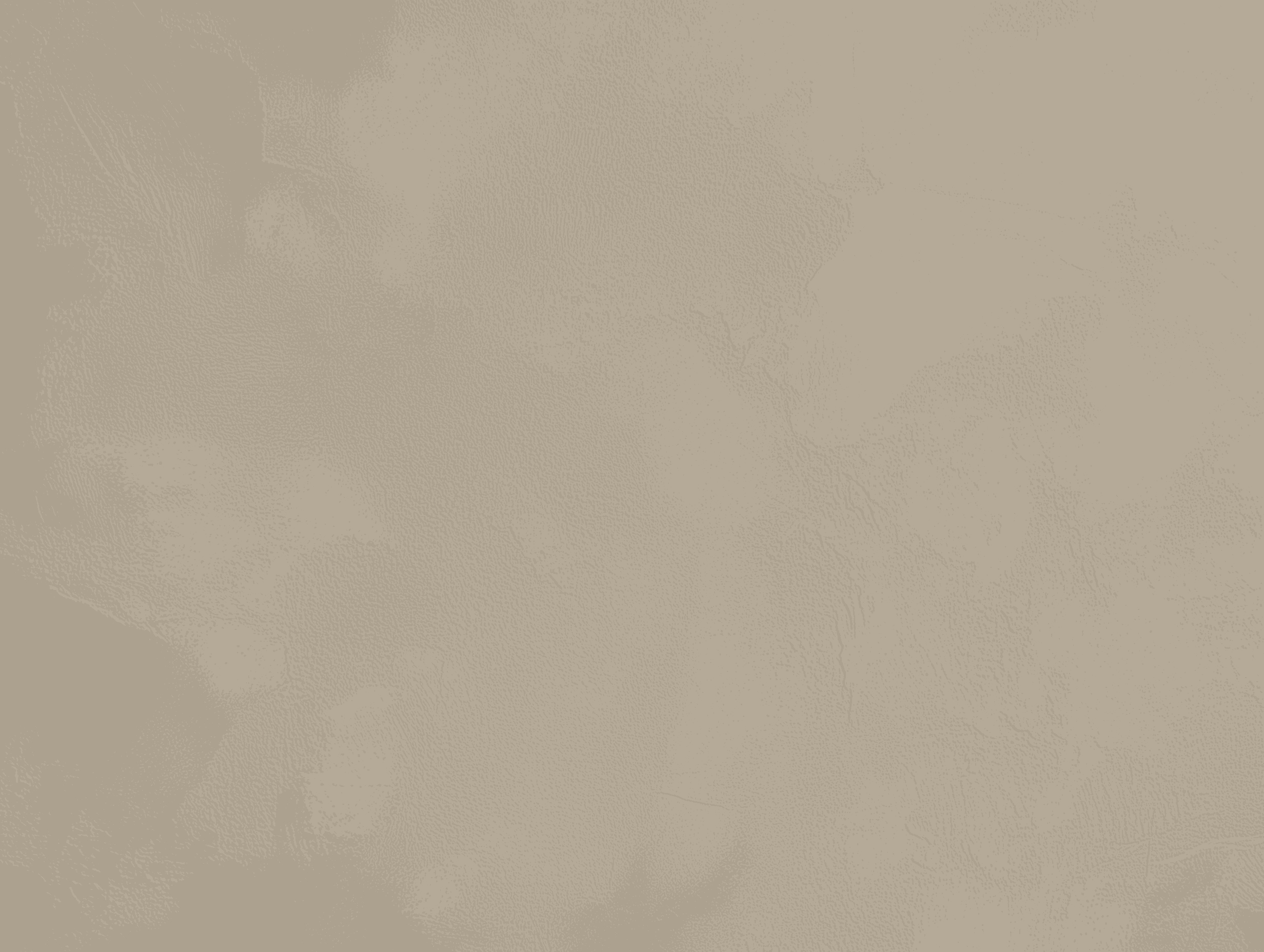 microcemento color Bone