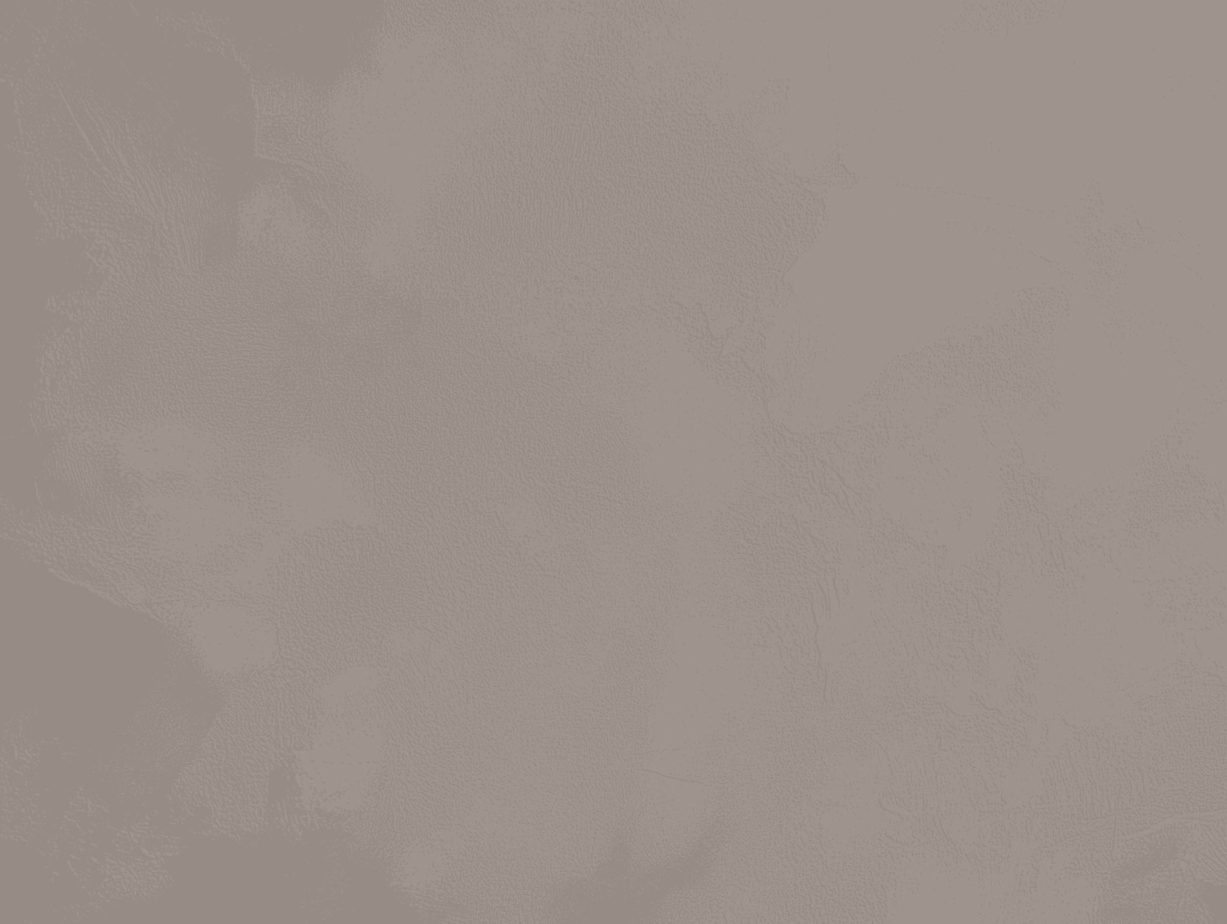 microcemento color Spike